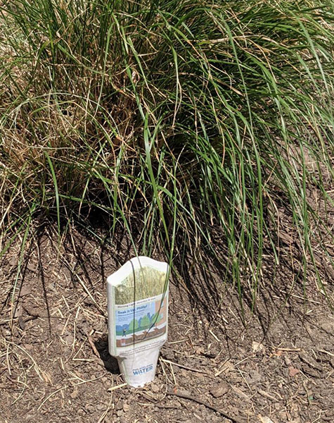 A sensor designed to look like a plant label is embedded in the soil in front of a green, grassy plant.